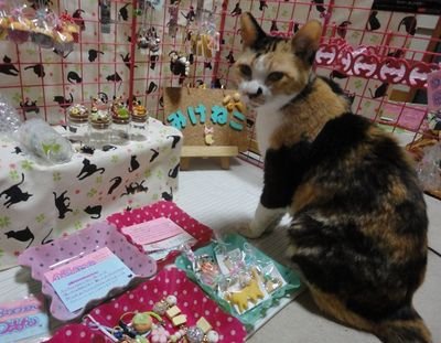 猫をモチーフにした作品を作っています。主にうちの猫(みけねこ)をモデルにした樹脂粘土作品やフェイクスイーツになります♪　　　　　　　　　　　　　　　　　　　　　　　　　　※2016年9月18日みぃ～にゃんがお空に旅立ち現在クロミとミミの2匹が一緒にいてくれてます♪
インスタ→mikeneko_kuromi.mimi