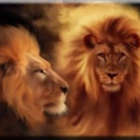 LCESLIONS (@lceslions) 's Twitter Profile