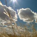 Don Moseley - @dwmoseley - Twitter