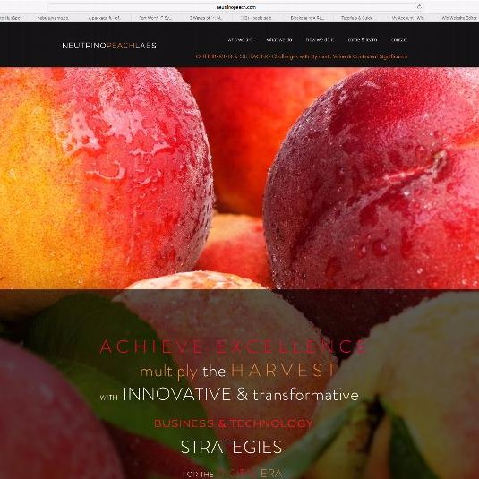 neutrinopeach's profile picture. Neutrino Peach Labs
Harvesting Innovative and Transformative Strategies