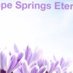 Dawn (@hopesprings46) Twitter profile photo Dawn (@hopesprings46) Twitter profile photo