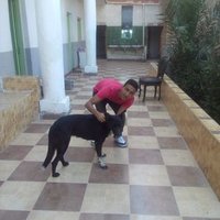 Yousif Maged (@yossefmaged96) Twitter profile photo