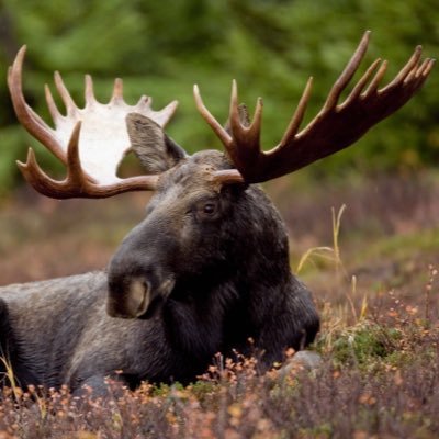 My rack is bigger than yours
