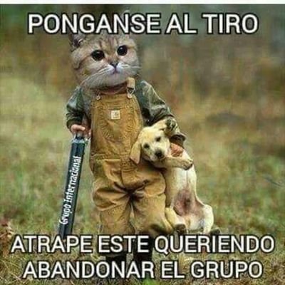 Noticias Noticiero Gobierno Instituciones Políticos