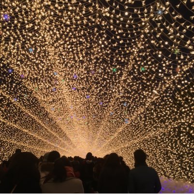 nivea1225's profile picture. 