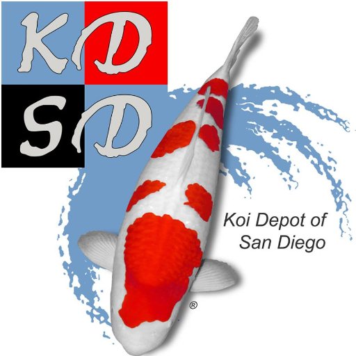 In touch with today's Koi hobbyist with One goal, One passion. To provide the best enviroment for the growth and health of your Koi.