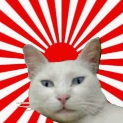 supercatmanseri Profile Picture