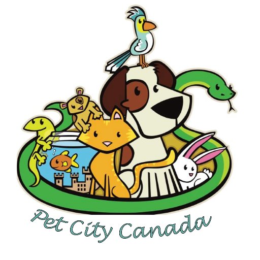 Located in beautiful Lethbridge, Alberta, Pet City Canada offers pet sitting, dog walking, top of the line grooming, pet play and so much more!