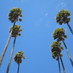 Urlaubstipps 2012 (@reise_infos) Twitter profile photo