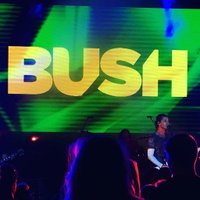 Bush Music Fans (@bushmusic) 's Twitter Profile