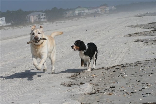 Veggiemadre's profile picture. Veggie Mom and The Pop'rs Family are in the HOWSE! Eat Your Veggies...right now!