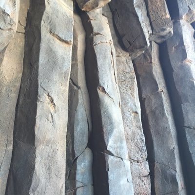 okato1984's profile picture. 