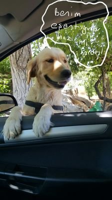 BasarMuhsin's profile picture. 