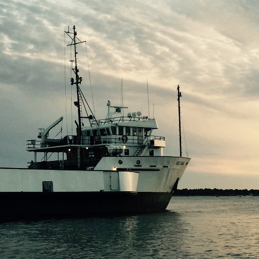 ChristopherFay3's profile picture. 