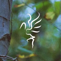 HERON VALLEY (@heronvalleyband) Twitter profile photo