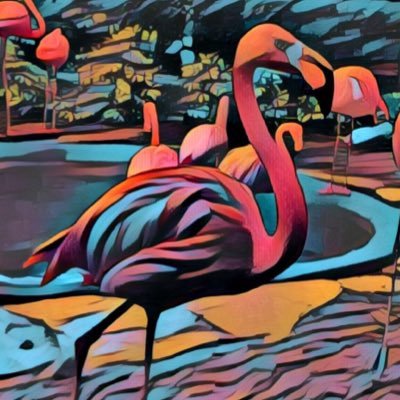 bestofmindblog's profile picture. 