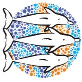 Shark Bay Dolphin Alliance Project