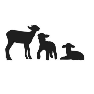 three_lambs's profile picture. We are Three Lambs, Registry & Baby Boutique, your exclusive one-stop shop for everything baby. Specializing in the ultimate baby-registry experience!