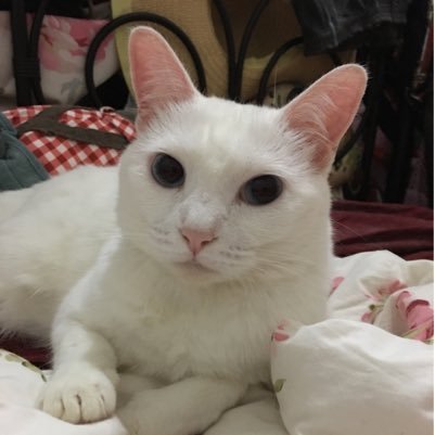 gigiykee66's profile picture. Art Arts & Culture Games Gaming Gaming News Design & Architecture Arts & Culture Technology & Science Latino Music Technology & Science Music