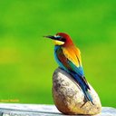 Memet Ural (@0545200g) Twitter