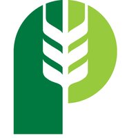 Pitura Seed Service(@Pituraseeds) 's Twitter Profile Photo