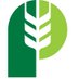 Pitura Seed Service (@pituraseeds) Twitter profile photo