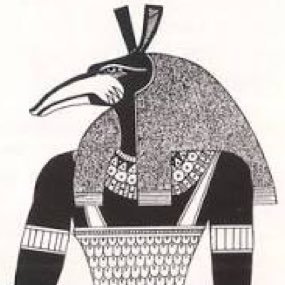 nobuplus_No13's profile picture. 