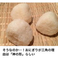 じょじょ (@akstnhmyrwawawa) Twitter profile photo