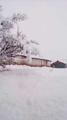 indianarmy5533's profile picture. govtjobs