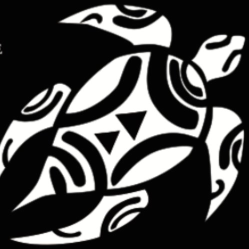 Asociación sin ánimo de lucro dedicada al estudio y conservación del entorno. Especializados en tortugas marinas. xaloc@hermanosdesal.org