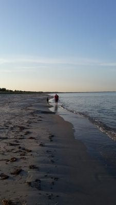 fgcicek's profile picture. 