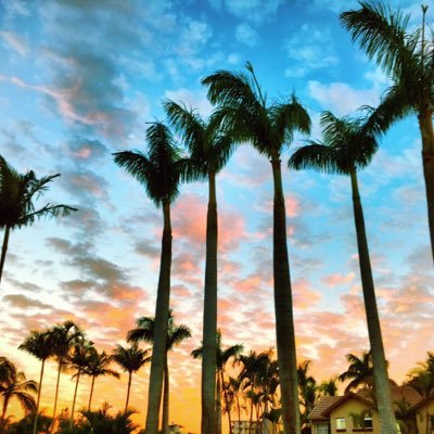 Moving to Queensland with the help of @letsgoemigrate