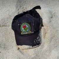 John π΅πΉβͺLeigh (@brisbanerover) 's Twitter Profile Photo John π΅πΉβͺLeigh (@brisbanerover) 's Twitter Profile Photo