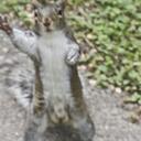 kevin kinney - @kevinkinney - Twitter