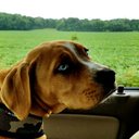 Kari Tucker - @karitucker719 - Twitter