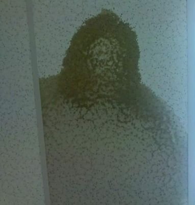 BubbyBigfoot's profile picture. Home of Bub's Bigfoot Rangers.
#ProjectGoAndSee