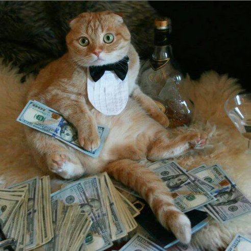 MuchiGuma's profile picture. Muchi Guma - Always be hustling. 
#Baller