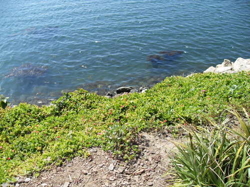 jaello912's profile picture. 