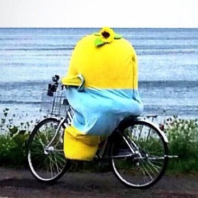 volley_bell's profile picture. 方向音痴、優柔不断直りません🙄 今を大事に生きる！