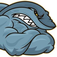 Burleigh Bullsharks (@bullsharkscc) 's Twitter Profile