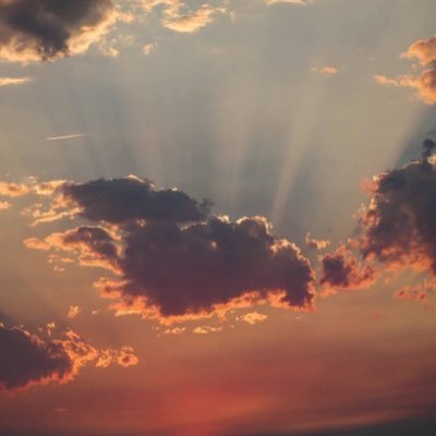 commoncor1's profile picture. 