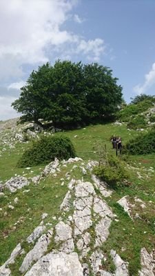 BookingLazio's profile picture. Portale per la promozione turistica dei Comuni laziali. @BookingLazio