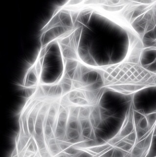 _thirtythree's profile picture. 