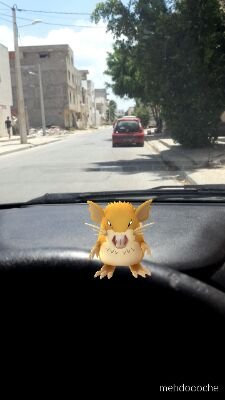 oualidd's profile picture. La vie est courte mais très large.