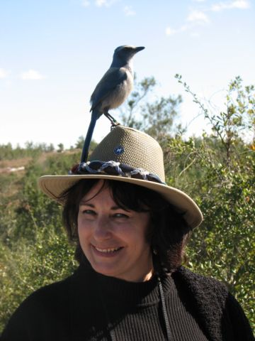 I love exploring social media tools and tweet what I believe to be cool and/or beneficial for others. http://t.co/SUbdgwtyPq