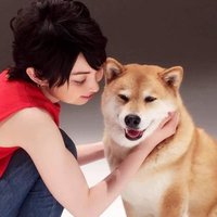 にっし~ (@nishimura0519pc) 's Twitter Profile