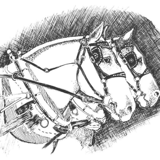 StMarysCoFair's profile picture. September 21- 24, 2017  . This year is the 71st anniversary the Fair! Leonardtown, MD 2065