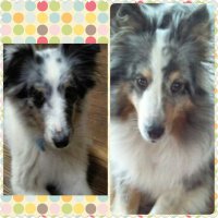 michiko ☆ (@tiko03) 's Twitter Profile