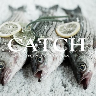 CatchSeafoodUK's profile picture. 