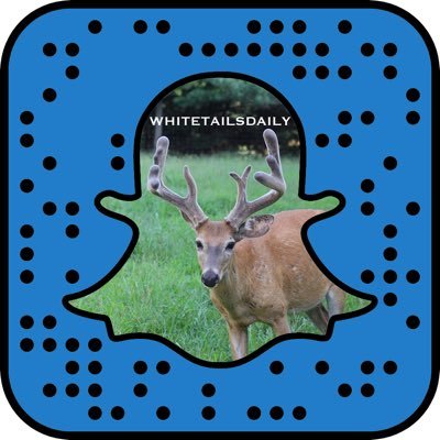 Bringing outdoor and deer hunting content daily. Feel free to direct message your pictures! #deerhunting Created by @hoferjacob